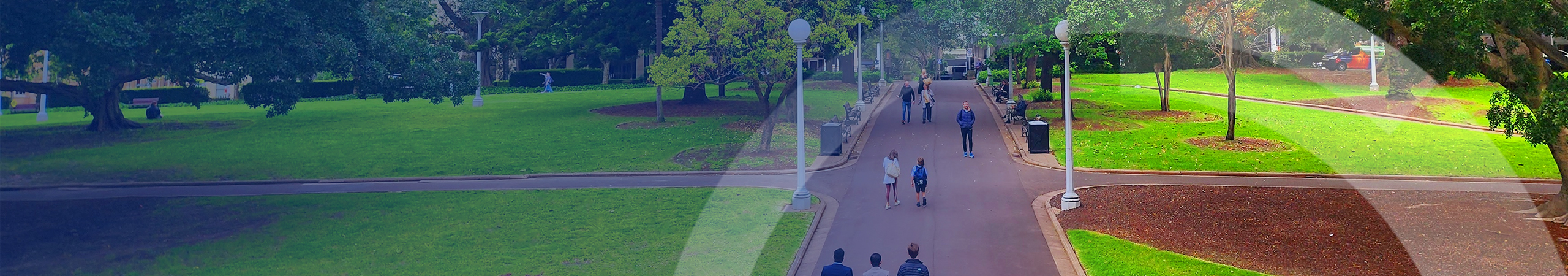 Hero banner: people walking in a park