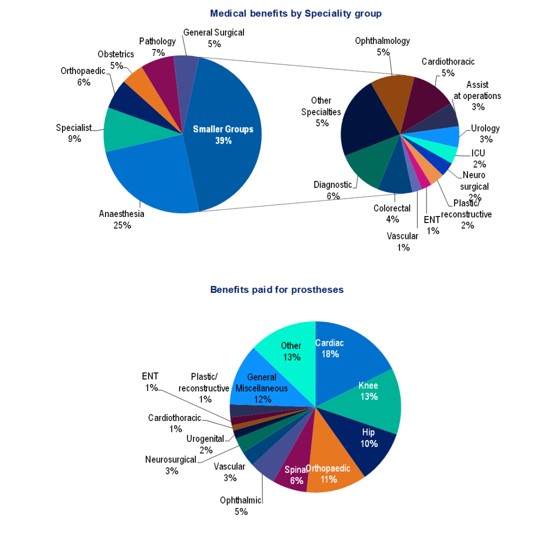 Medical benefits by Speciality group for the March 2024. The medical service for which the greatest number of benefits was paid was anaesthetics, comprising 24.8% of all medical benefits. Benefits paid for prostheses for the March 2024.  The prosthetic group for which the greatest amount of benefits paid was cardiac, comprising 17.6% of all prosthetic benefits.