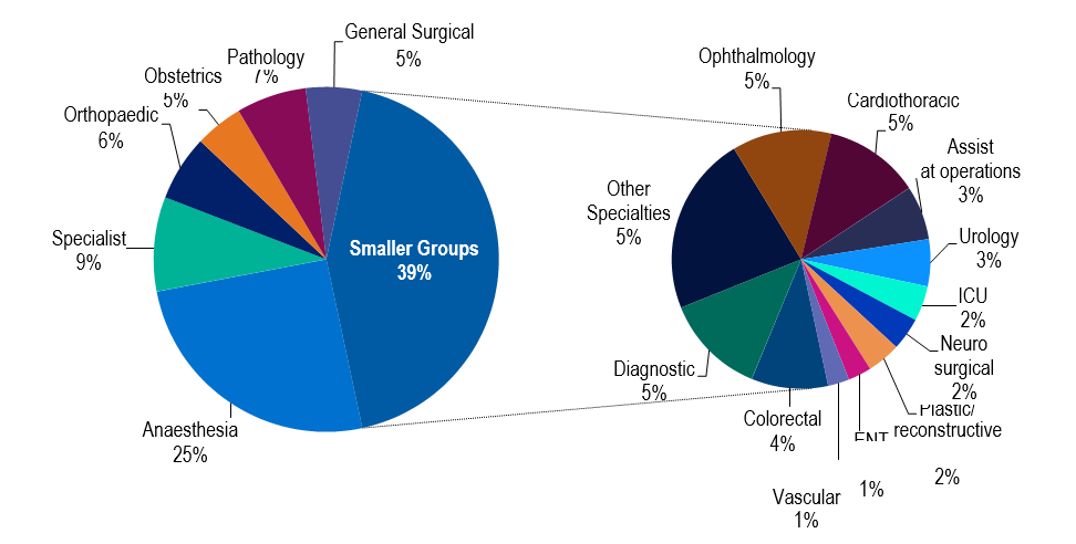 Medical benefits by Speciality group for the June 2024. The medical service for which the greatest number of benefits was paid was anaesthetics, comprising 25.4% of all medical benefits.