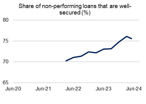 Chart 12: Share of non-performing loans that are well secured (%) Share of non-performing loans that are well secured from June 2020  to June 2024. For the latest June 2024 quarter, this share fell from 76.1 per cent to 75.5 per cent.