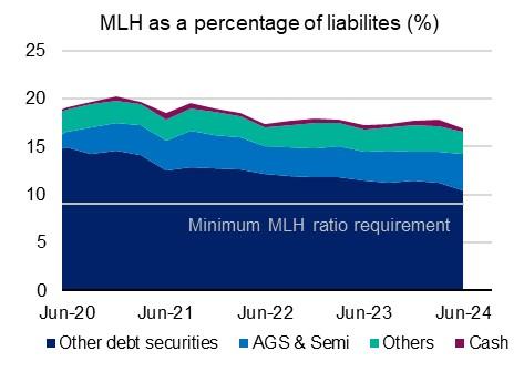 Chart 9: MLH as a percentage of liabilities (%) The Minimum Liquidity Holdings (MLH) as a percentage of liabilities, i.e the MLH Ratio, from June 2020 to June 2024. For the latest June 2024 quarter, the MLH ratio declined by 90 basis points to 16.9 per cent. 