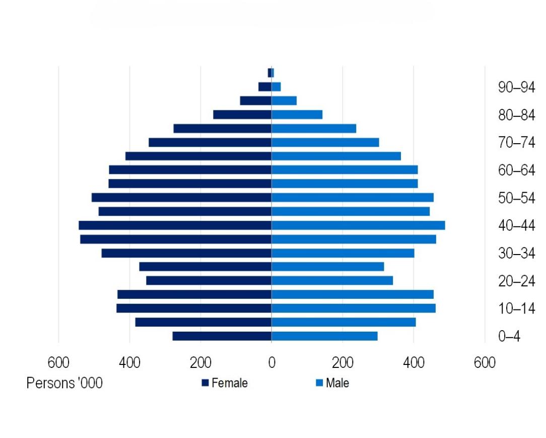 General Treatment as at 31 December 2024, Number of persons insured by age (ancillary).