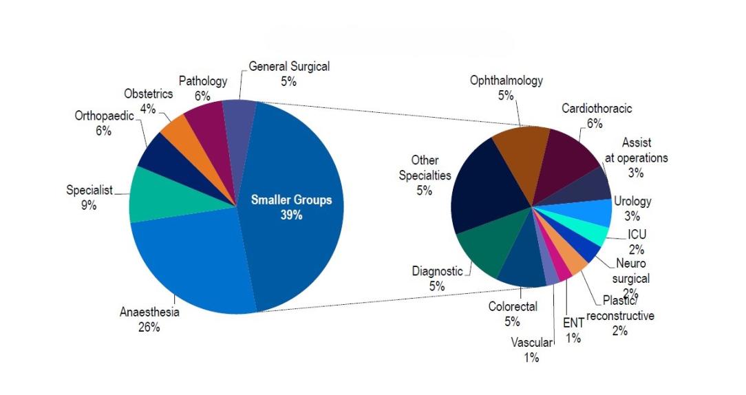 Medical benefits by Speciality group for the December 2024. The medical service for which the greatest number of benefits was paid was anaesthetics, comprising 26% of all medical benefits. 