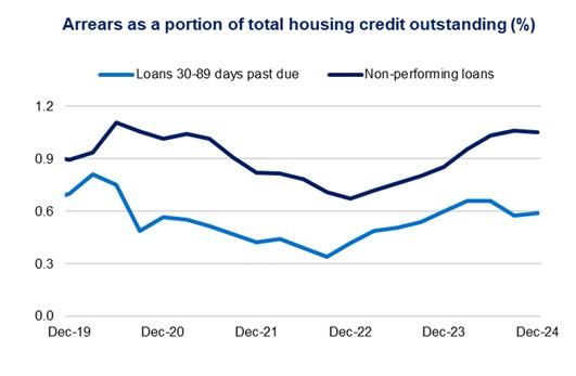 This chart shows non performing loans and loans that are 30-89 days past due, both as a share of total credit outstanding from December 2019 to December 2019. Non-performing loan shares fell for the first quarter since December 2022 to 1.06 per cent of total credit outstanding. Loans that were 30-89 days past due rose to 0.59 per cent during December 2024.